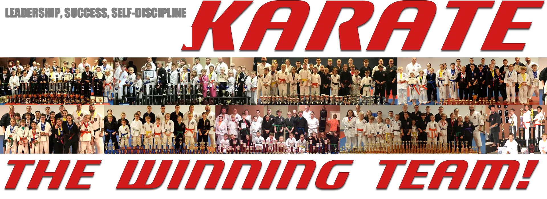 Livingston Karate Training Center photo